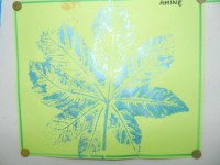 /album/feuilles-et-papillons/picture-220-jpg/